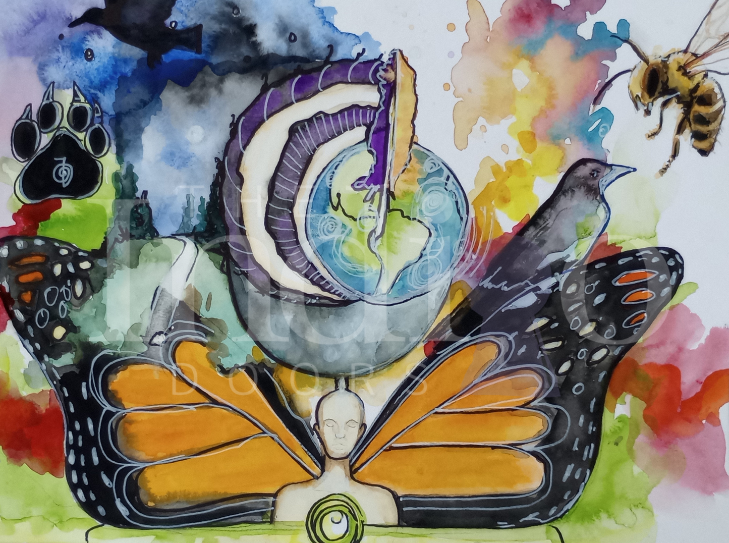 Metamorphosis